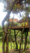 Caliraya Lake Hidden Forest Resort