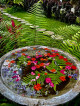 Gina’s Garden and Farm