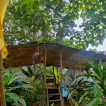 Antipolo's Nature Tent & Kubo Camp