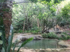 Paglitaw Natural Pools