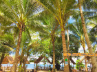 Alpuerto beach resort