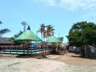 MV Beach and Pool Resort