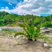 CAMP Dai-tan Daraitan Tanay Rizal