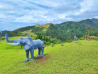 Mount Caningag Resort Official