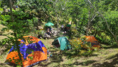 Bongkawe Campers Ville