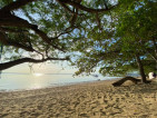 Edna's Beach and Campsite