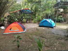 Amil's Campsite