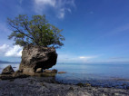 Batalang Bato Beach Retreat