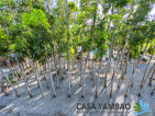 Casa Yambao Private Pool