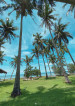 The Payad Beach and Farm Resort