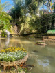 Las Caidas Wellness Resort