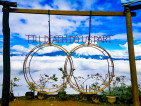 Calamba Farm Sea of Clouds