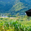 Wayan House - Los Baños