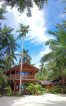 Camp Olli Siargao