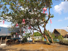 Saka Resort