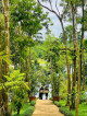 Paraiso de Alba Lake Front Resort