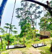 Gina’s Garden and Farm